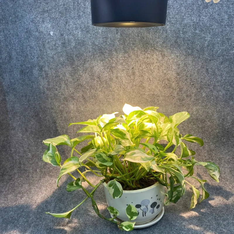 Hình ảnh sản phẩm undefined 10