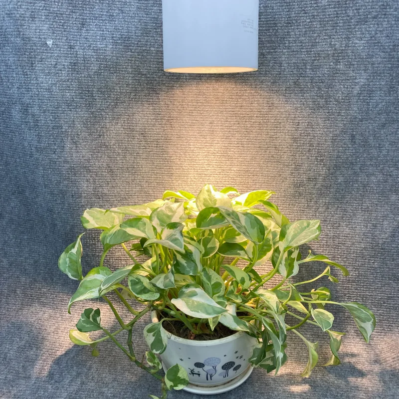 Hình ảnh sản phẩm undefined 10