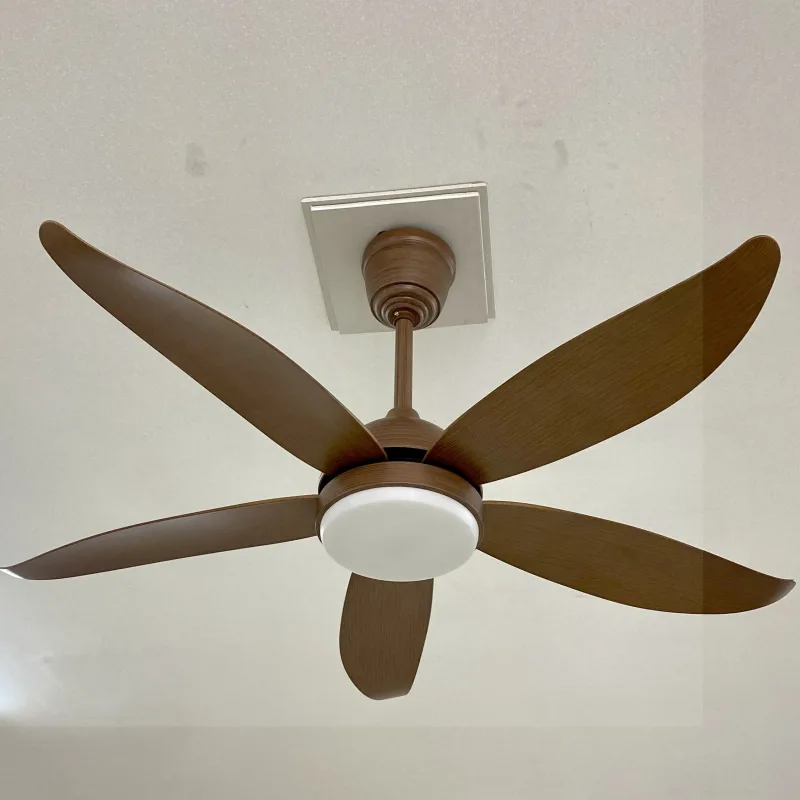 Hình ảnh sản phẩm undefined 2