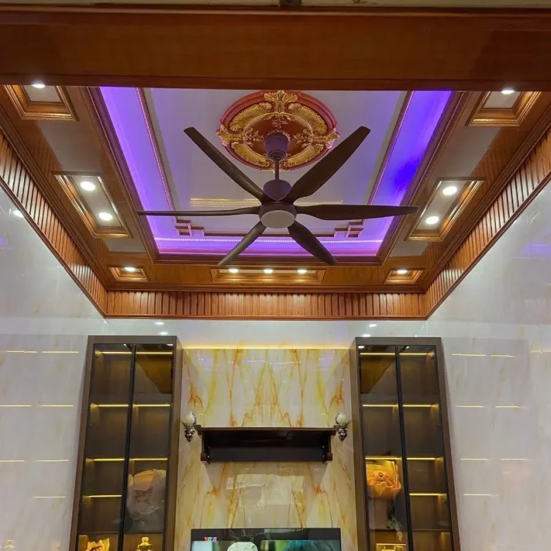 Hình ảnh sản phẩm undefined 4