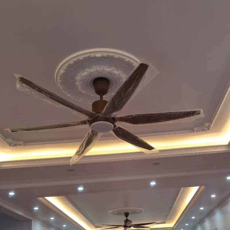 Hình ảnh sản phẩm undefined 5