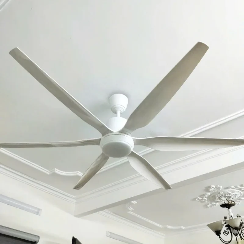 Hình ảnh sản phẩm undefined 6