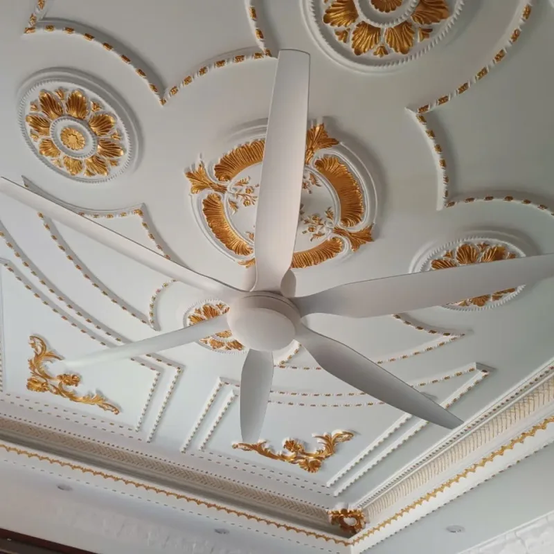 Hình ảnh sản phẩm undefined 7