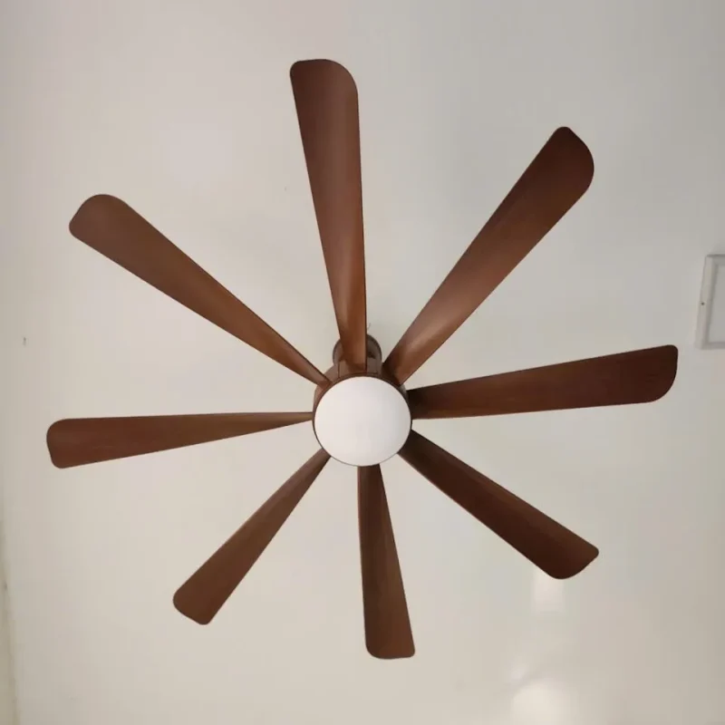 Hình ảnh sản phẩm undefined 4