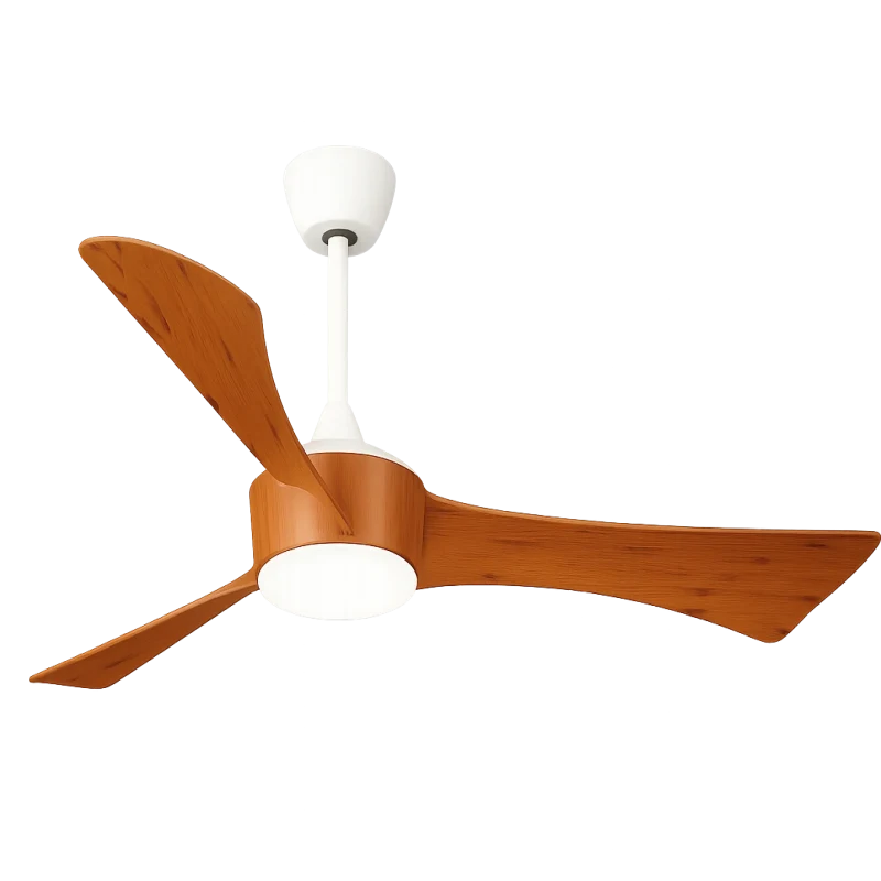 Hình ảnh sản phẩm undefined 1