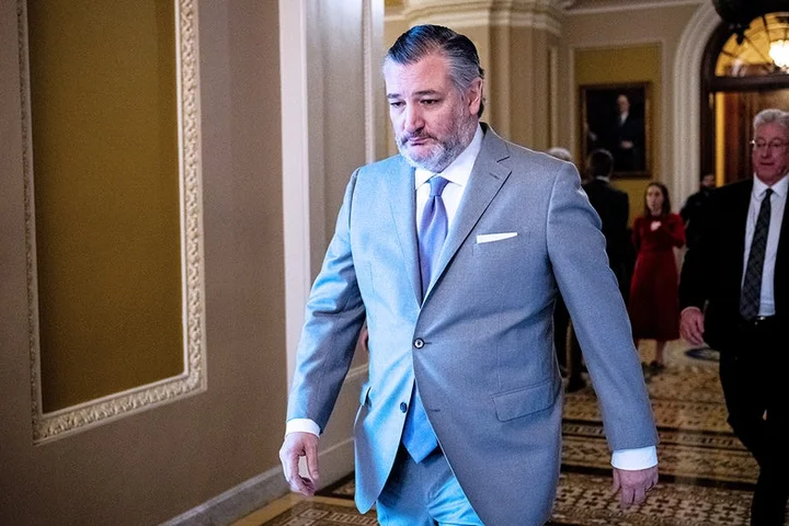 Ted Cruz unleashes on Dems for risking American lives with DHS shutdown: 'Radical open-border base'