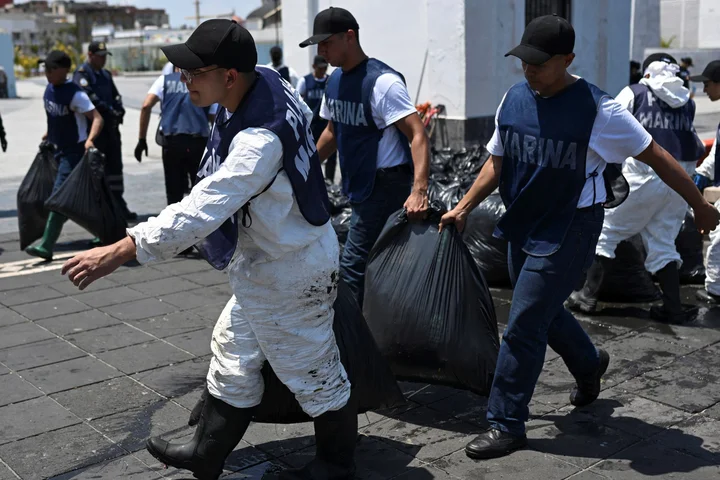 Wildlife killed, reefs damaged in ‘active’ Gulf of Mexico oil spill