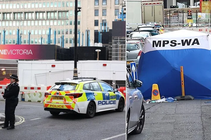 Hunt for knifeman after man, 26, stabbed to death five minutes from Houses of Parliament