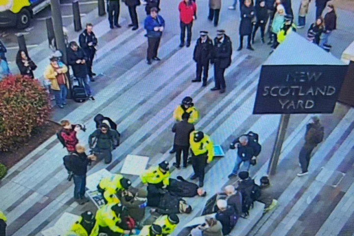 Palestine Action supporters arrested as London’s Met Police reverse policy