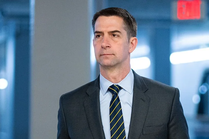 Tom Cotton slams Democrats' 'temper tantrum' for fueling TSA chaos amid funding fight