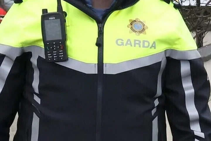 AGSI calls for review of garda suspensions system