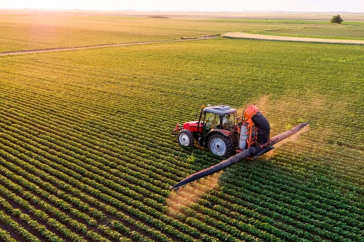 The Government has called for the temporary suspension of the EU's cross-border