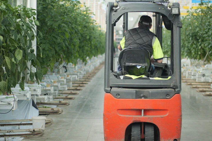 'It's a really serious situation': Warning food prices are set to spike in the UK