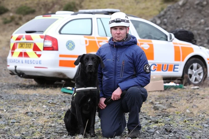 Four teenagers charged over assault on man and rescue dog