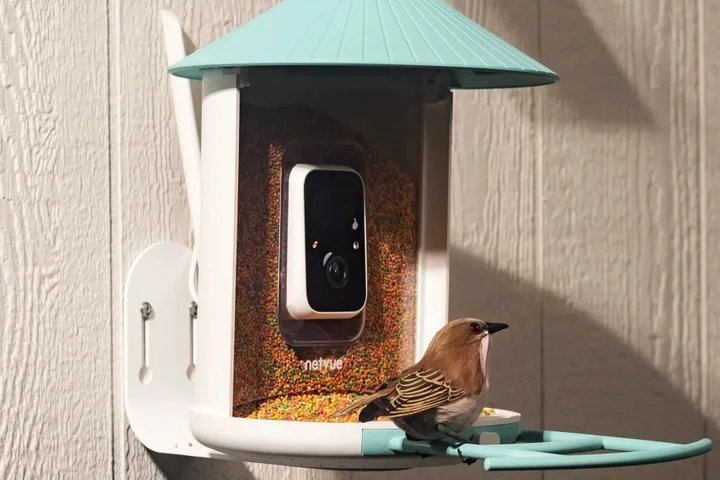 Amazon’s Big Spring Sale is a great time to get a fancy, AI-powered bird feeder