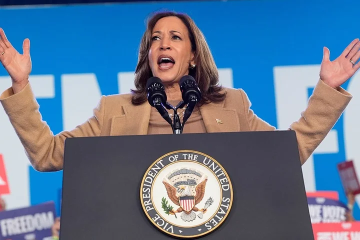 Democratic strategists say 2028 candidate 'has to be a White guy': report