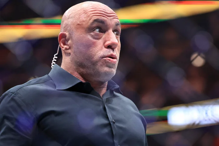 Rogan warns of US ‘population collapse’ due to toxic chemicals and delayed parenthood tank birth rates