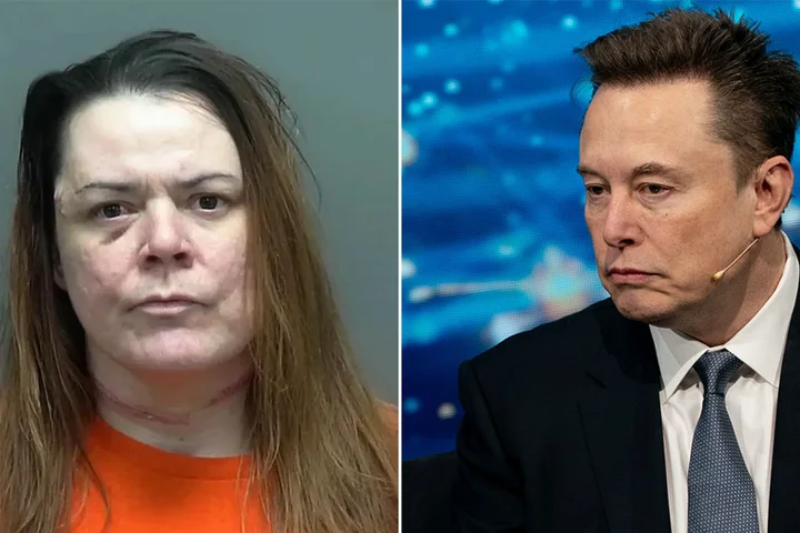 Wisconsin mother stabs teen daughter to death to 'protect' her from Elon Musk: authorities