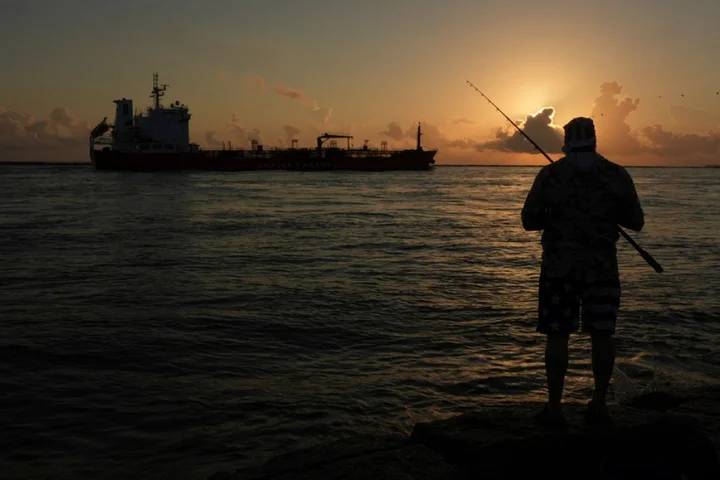 US exempts Gulf of Mexico oil drillers from endangered species protections