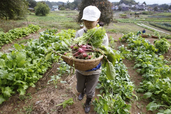 In Japan, strong state-led certification key to boosting organic food uptake