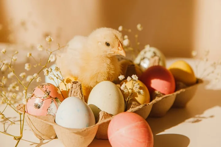 Easter Bank Holiday Sales 2026: The best deals to bag over the long weekend