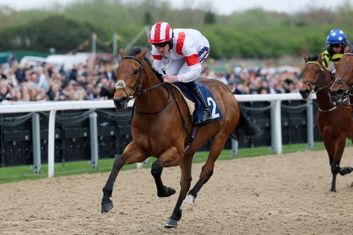 Best bets for Newcastle