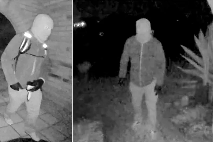 Lead Nancy Guthrie cop had no homicide experience, sheriff benched top detectives: sources