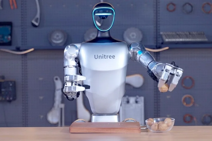 US targets Chinese robots over security fears