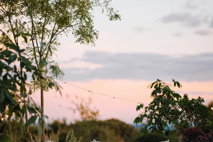 These are the new must-have garden accessories for summer 2026