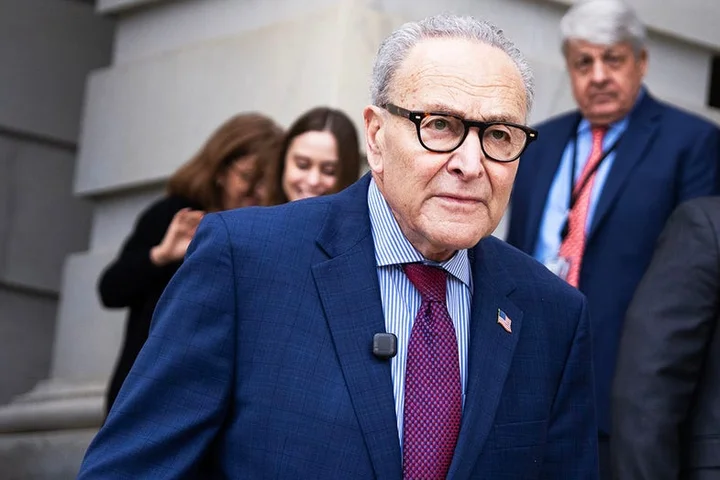 Chuck Schumer insists calling DHS funding shutdown 'political' posturing' is 'not fair'