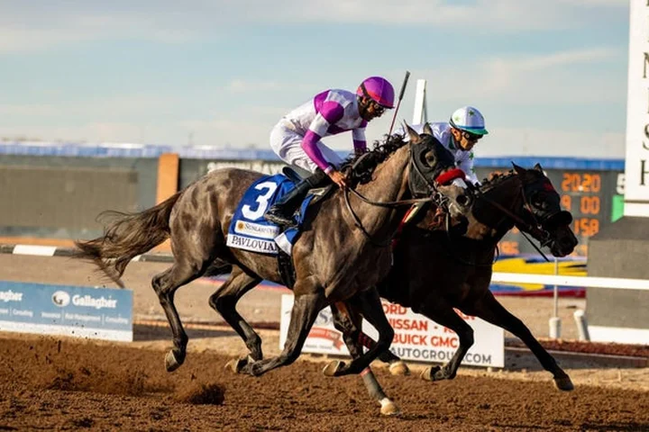 Wood Memorial 2026 predictions, odds, time: Horse racing picks from expert with 65% win rate