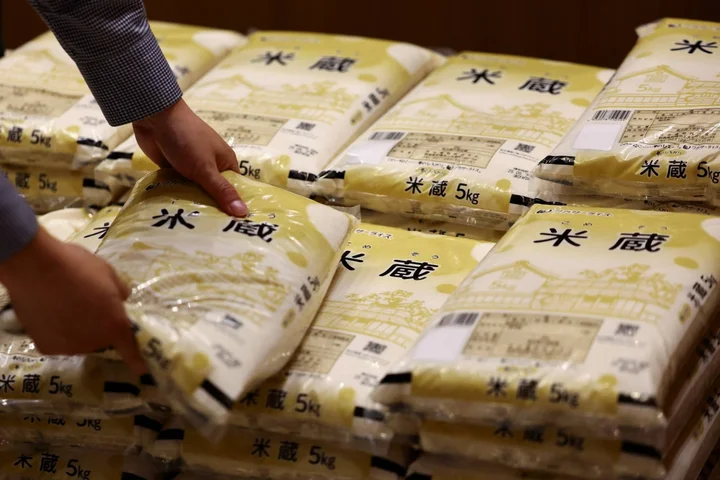 Rice prices in Japan drop for seventh straight week