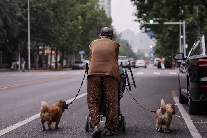 Streaming channel meant for pets launched in China