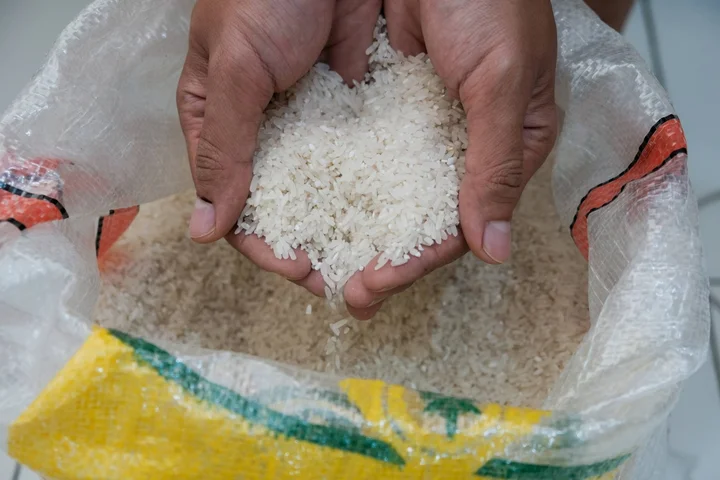 The revised law will explicitly stipulate the long-standing policy of promoting rice