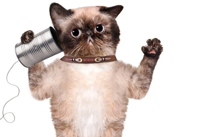 AI search is atomizing our information, warns government digital designer