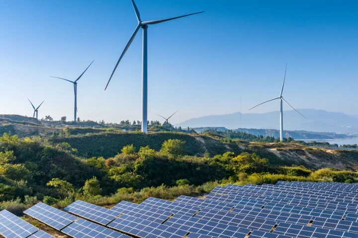 Renewables reached nearly 50% of global electricity capacity last year