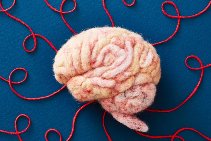 You can’t really “train” your brain. Here’s what you can do instead.