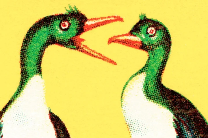 What to say to relatives who love to needle you about politics