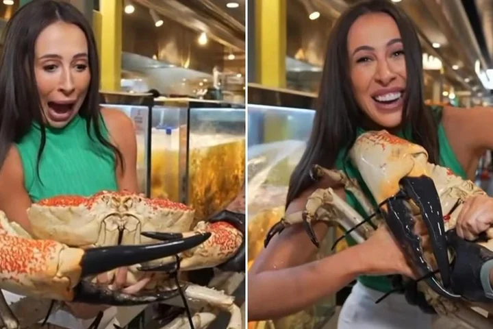 Weather reporter hospitalised after painful on-air gaffe with crab