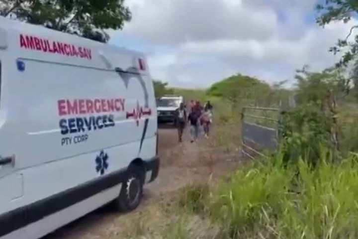 ‘Killer bee’ attack leaves 150 people injured with 50 taken to hospital