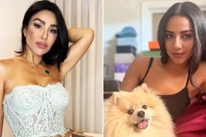 ICE arrest Iran warlord’s niece living her best life in Los Angeles