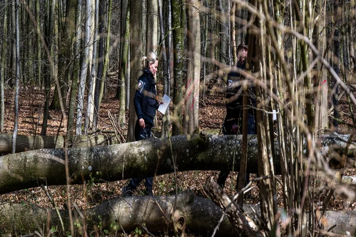 Falling tree kills 3, including 10-month-old, on Easter egg hunt in Germany
