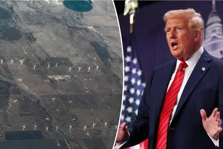 NEWT GINGRICH: What Trump can teach us about energy and America’s future