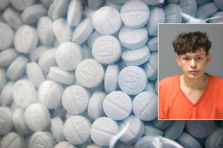 Suspect in ICE custody after fentanyl, cocaine hits deputy in face