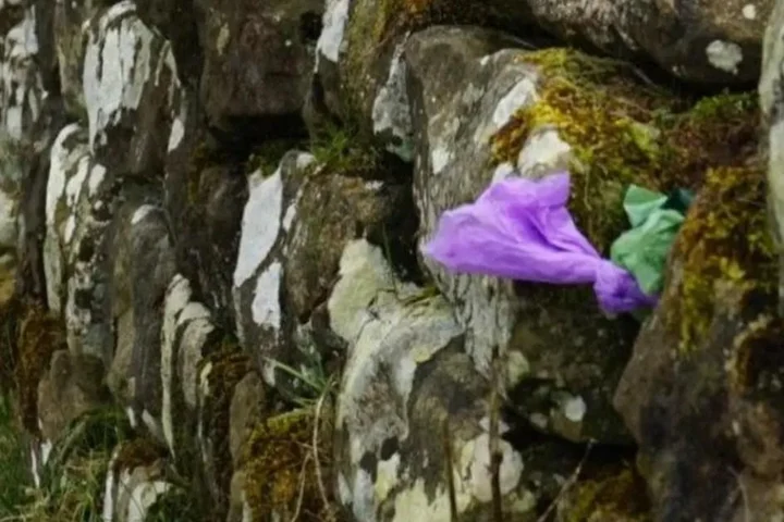 Hadrian’s Wall is becoming one long poo bin thanks to shameless dog owners