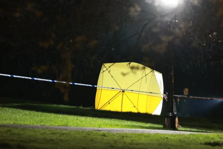 Man, 21, stabbed to death after fight breaks out on Primrose Hill