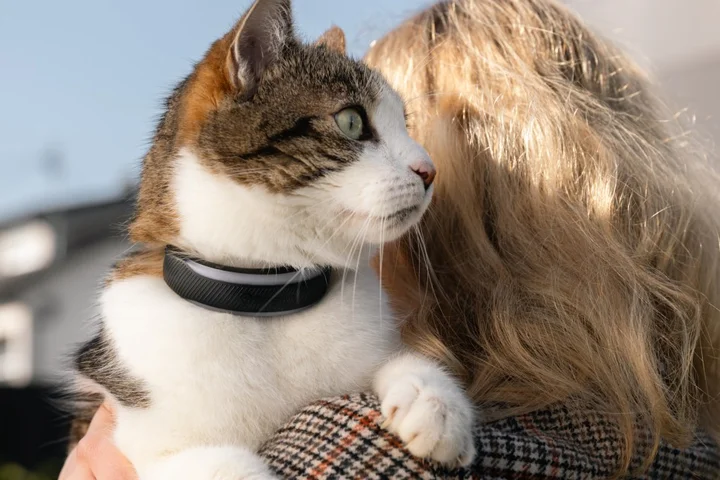 Tractive’s new dog and cat trackers provide more health insights for your pets