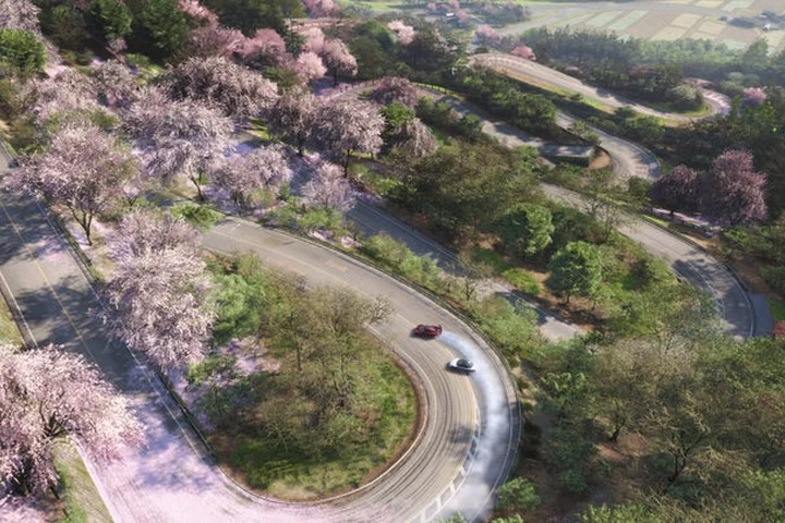 Forza Horizon 6 Releases Zoomed Out Image of Full Japan Map — and Fans Are Trying to Work Out Just How Big It Is