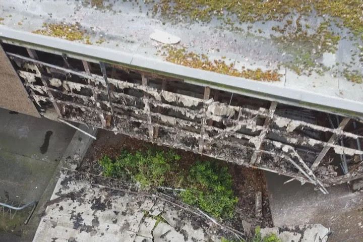 Vancouver Park Board approves plan to ask city for massive investment