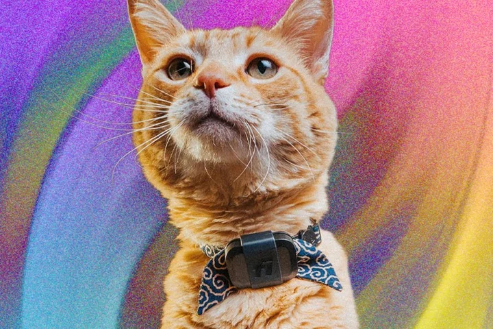 Track Your Pets and Monitor Their Activity